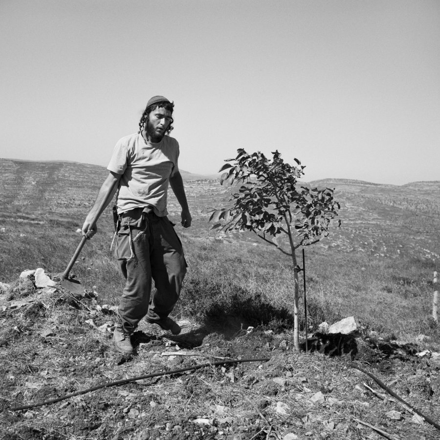 borderlinensite053